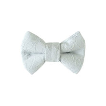Load image into Gallery viewer, Hoppetta 10 Mois Bow Tie